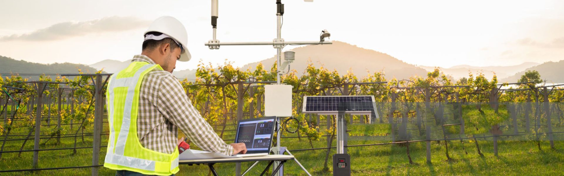 Agronomist using tablet computer collect data with meteorological instrument to measure the wind speed, temperature and humidity and solar cell system in grape agricultural field, Smart farm concept